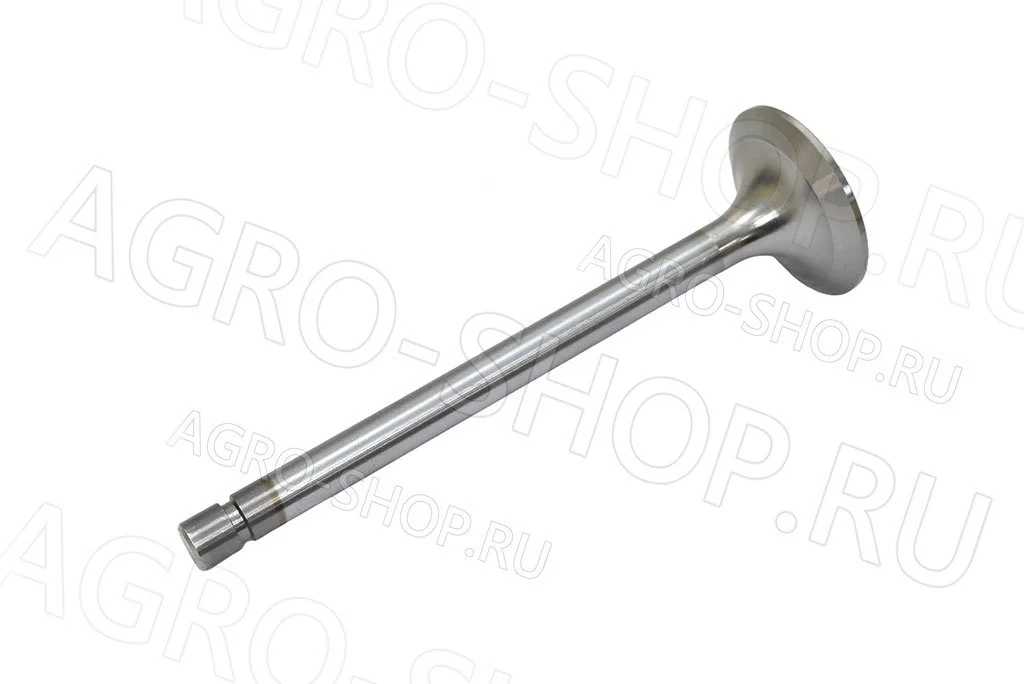 Клапан 260-1007014 впускной (большой) Д-260 (КМЗ)