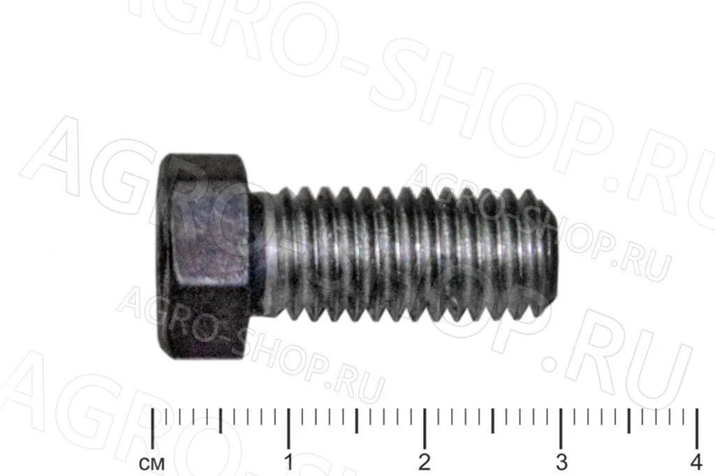 Болт 245-1008024 крепления переходника короткий Д-245/260 (ММЗ)