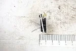 Усилитель  УФИ2 к ТМ КЗС 