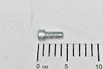 Винт 31152120 М12х1,25х30 5931 12к Zn (аналог) BCS 