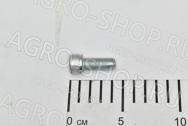 Винт 31152120 М12х1,25х30 5931 12к Zn (аналог) BCS 