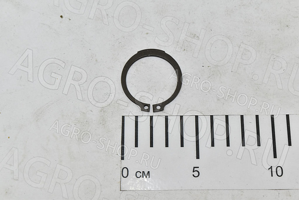Кольцо стопорное D38 028.260  Corsa 320/350 