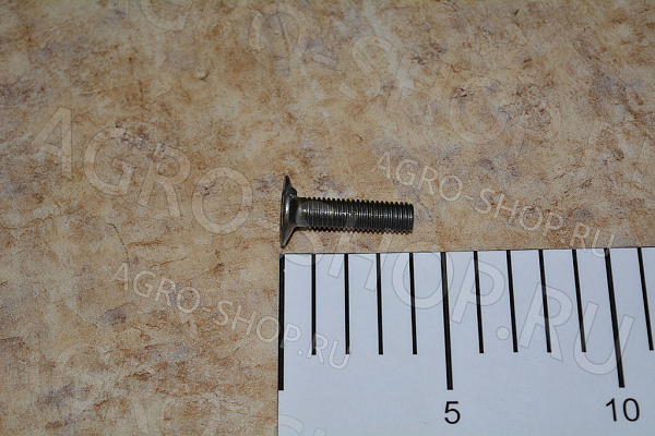 Болт 10х40 норийный (D=22 мм.) стандартный Шаг 1,5 ГОСТ 7811-7074 кл.пр. 4,8 РФ