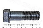 Болт 50-3104028 вкладыша задней ступицы МТЗ-80/82/952 (К)
