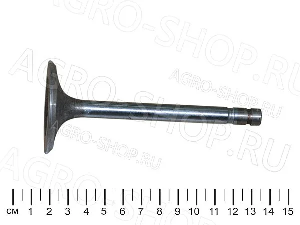 Клапан 13-1007010-22 впускной (две проточки) ГАЗ-53,3307,66 ЗМЗ