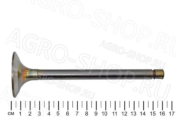 Клапан 260-1007014-А1 впускной (большой) Д-260 (Луганск)