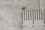 Шайба 8 пружинная (гровер) ГОСТ 6402-70 Ст65Г Беларусь