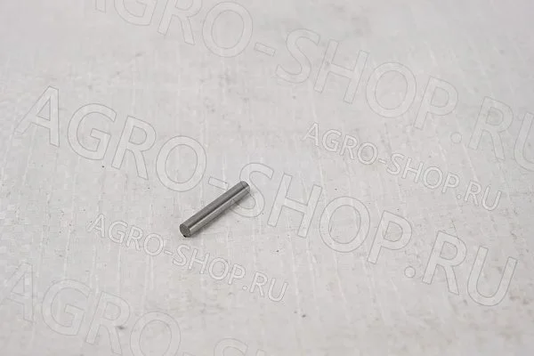 Ролик подшипника 4х23,8 GB/N309-2000 (кит. мост) Т-150 