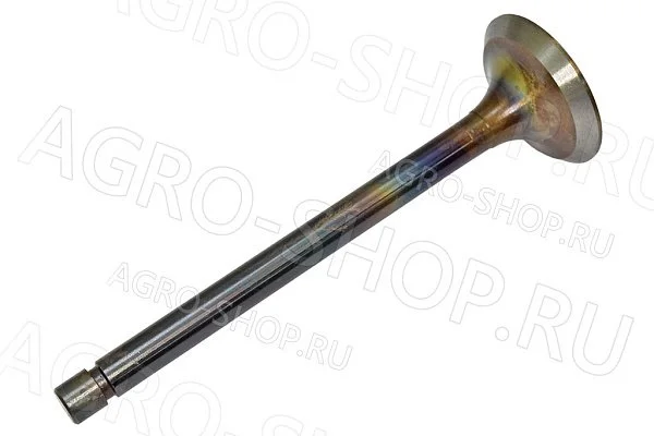 Клапан 240-1007014 впускной (большой) Д-243/245 (КМЗ)