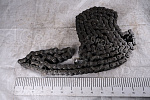 Цепь 80Н-2 / 2ПР-25.4 DONGHUA