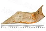 Скребок ЛДТ-549 правый (толщина 4 мм) ЛДГ 