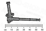 Цапфа 70-3001085-01 поворотная правая МТЗ-80 (БЗТДиА)
