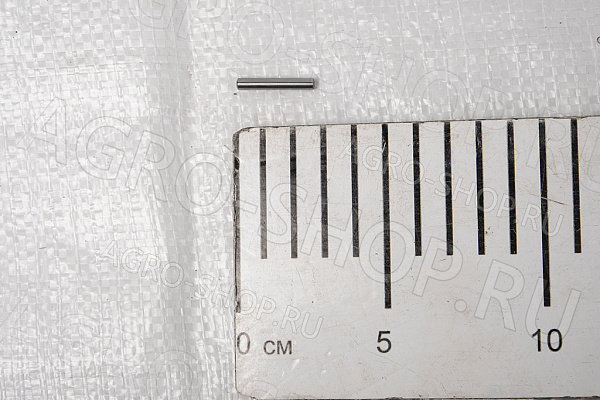 Ролик подшипника 4х23,8 GB/N309-2000 (кит. мост) Т-150 