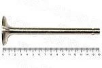 Клапан 240-1007014 впускной (большой) Д-243/245 (К)