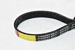 Ремень 6РК1016 (ЕВ6РК1016) генератора ГАЗон NEXT, ЯМЗ-5344 Espra