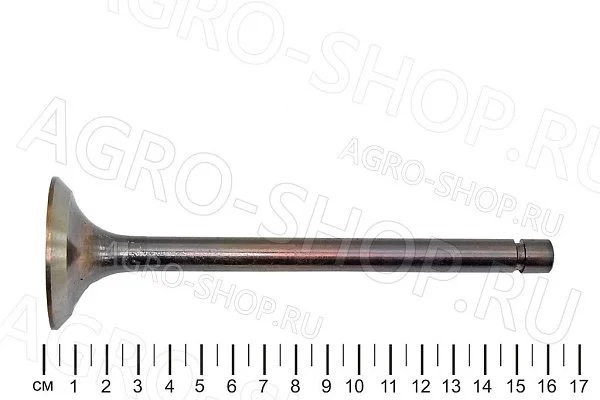 Клапан 240-1007014 впускной (большой) Д-243/245 (Луганск)