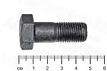 Болт 50-1005127-А крепления маховика Д-243/245 (К)