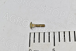 Болт 700721960 1/4 X 1 сегмента длинный SP 115 / MF 9220 