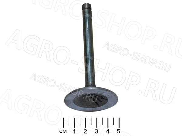 Клапан 13-1007010-22 впускной (две проточки) ГАЗ-53,3307,66 ЗМЗ