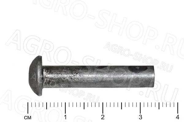 Заклепка 6х30 стальная полукруглая головка ГОСТ 10299-70 (Р)
