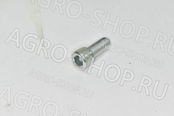 Винт 31152120 М12х1,25х30 5931 12к Zn (аналог) BCS 