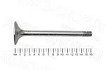 Клапан 260-1007014 впускной (большой) Д-260 (КМЗ)