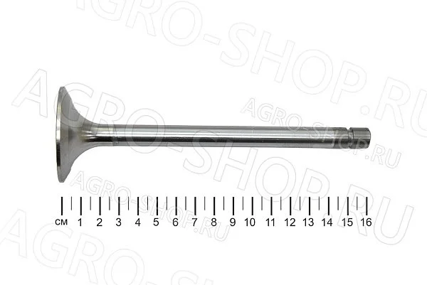 Клапан 260-1007014 впускной (большой) Д-260 (КМЗ)