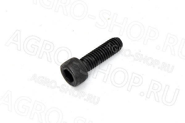 Болт 30360R1 дросельной заслонки Detroid 