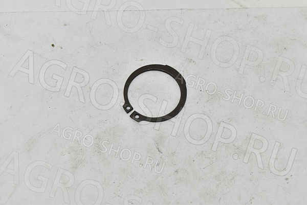 Кольцо стопорное D38 028.260  Corsa 320/350 