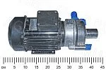 Насос молочный НМУ-10   Гомель